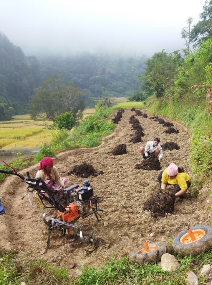 दिगो अभ्यास